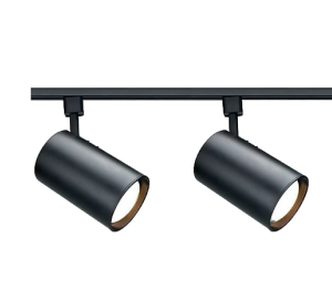 Трековые системы